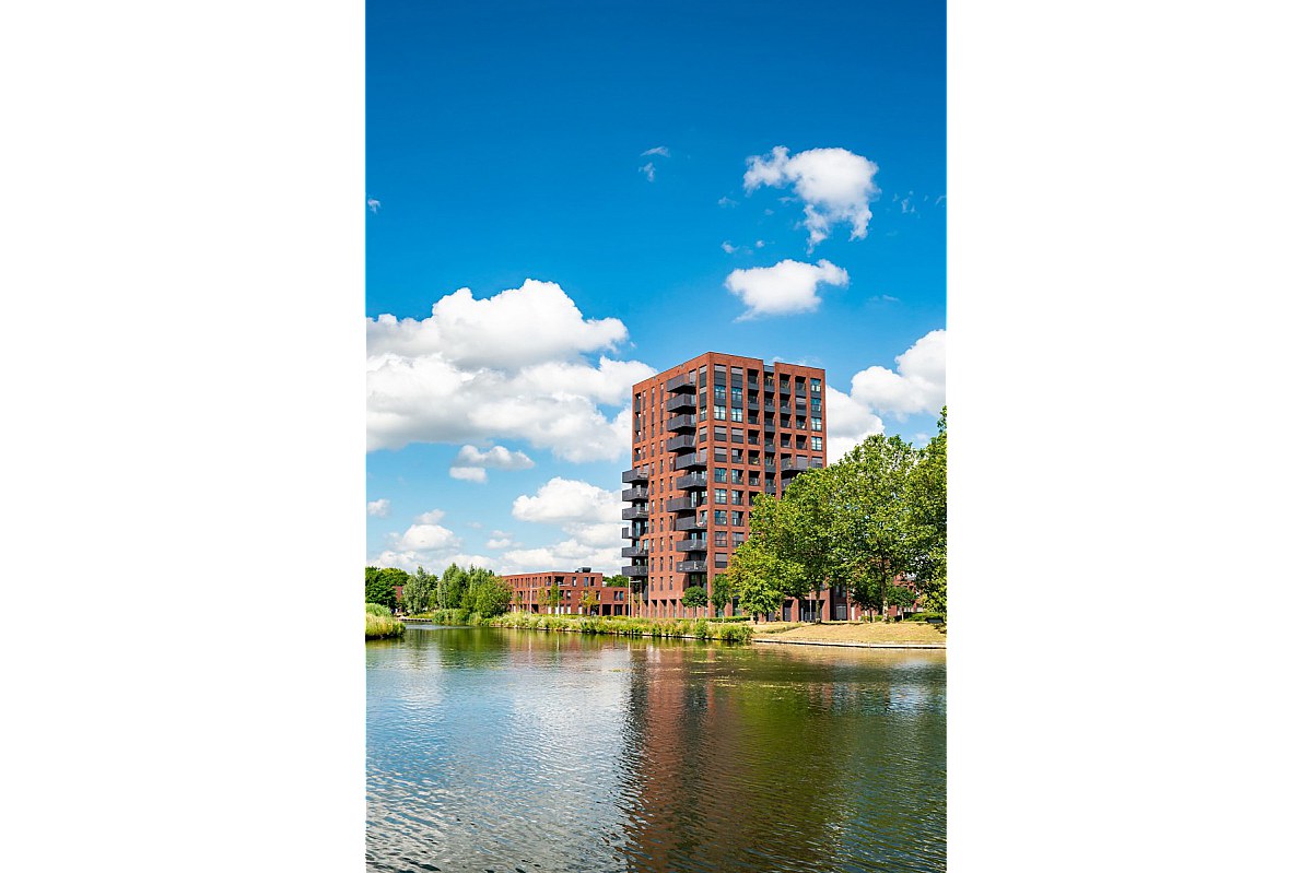 Webdesign Tilburg: De Werf