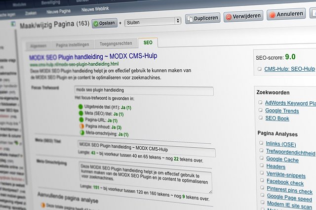 Nieuw: de MODX SEO plugin / Er is zoveel om aan te denken als je de content van je website gaat optimaliseren voor zoekmachines. Je zou wel wat hulp kunnen gebruiken... van een MODX SEO Plugin.