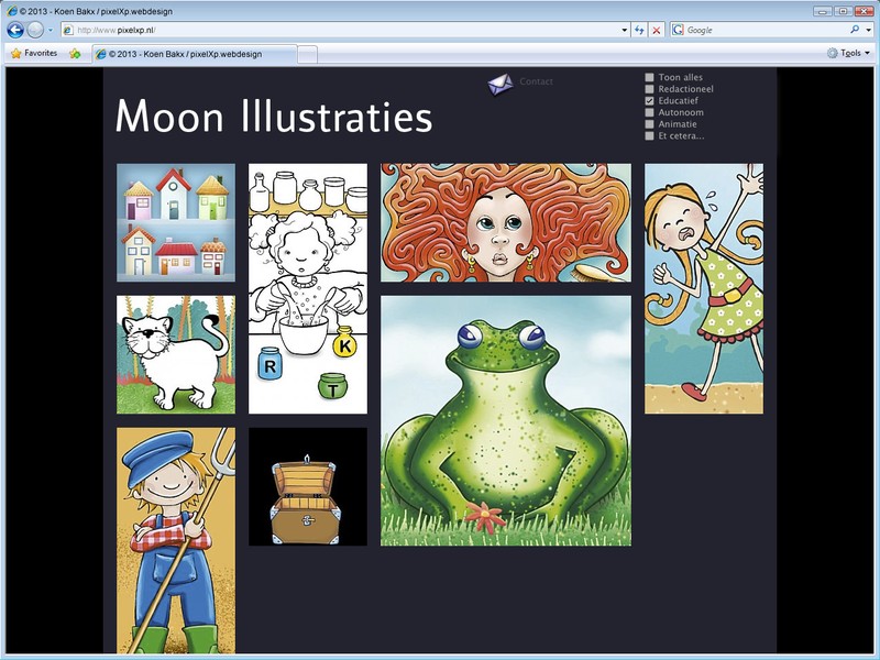 Het portfolio is te filteren m.b.v. een aantal catergoriën